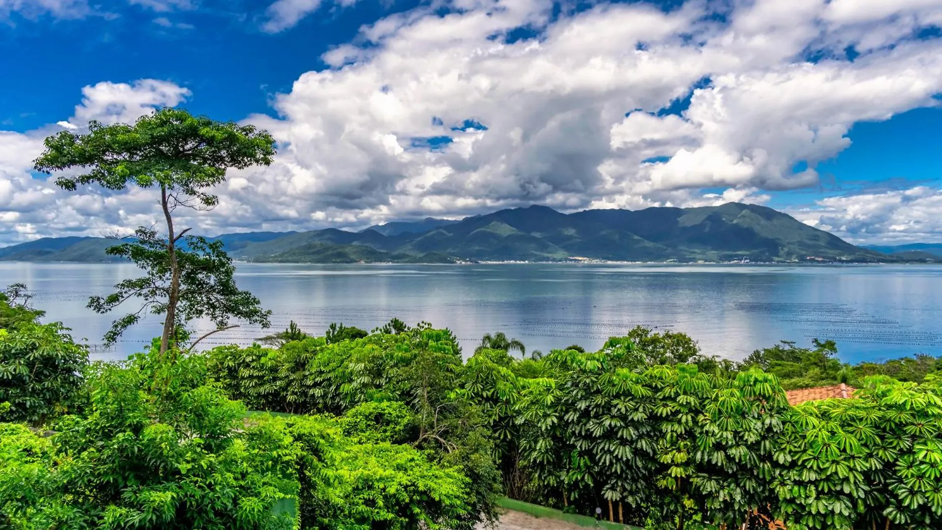 民宿 FlorianópolisMansao Voar公寓