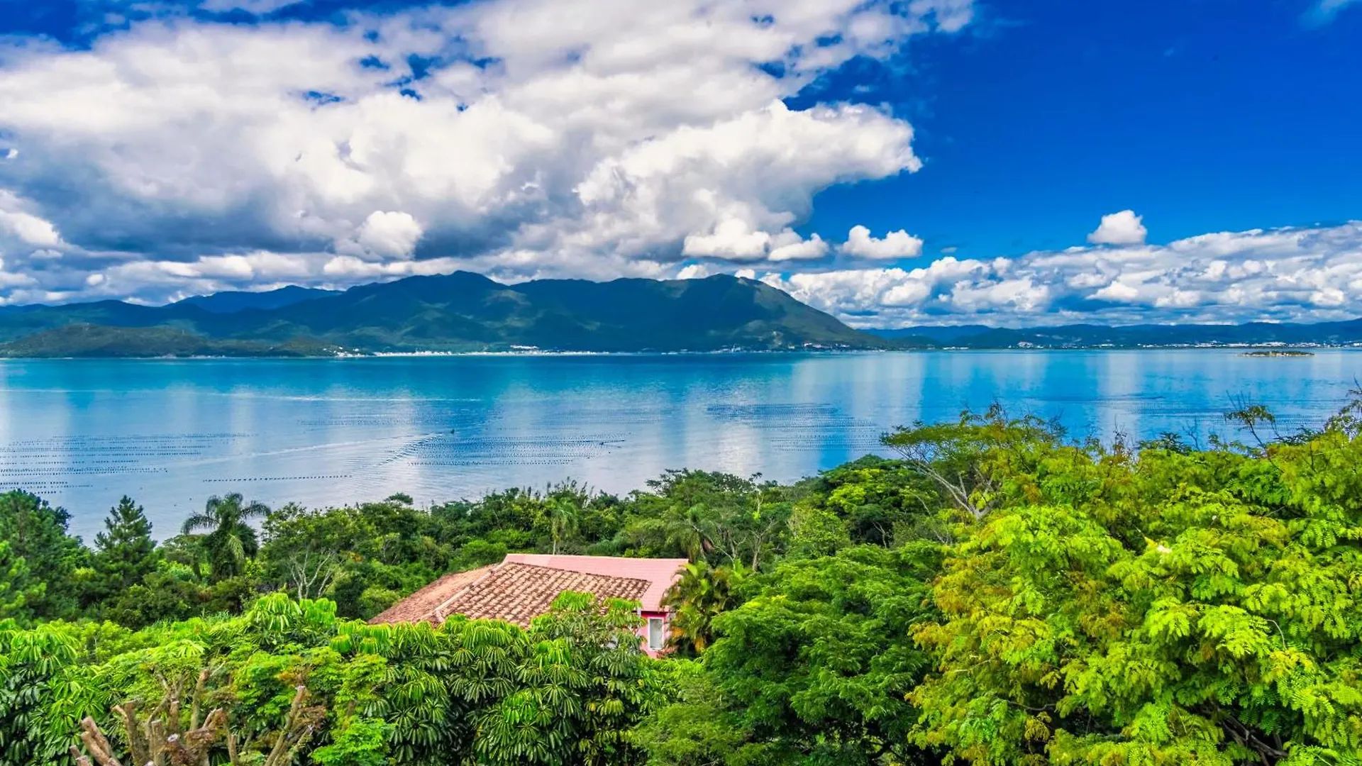 FlorianópolisMansao Voar公寓 0*, Florianópolis 巴西
